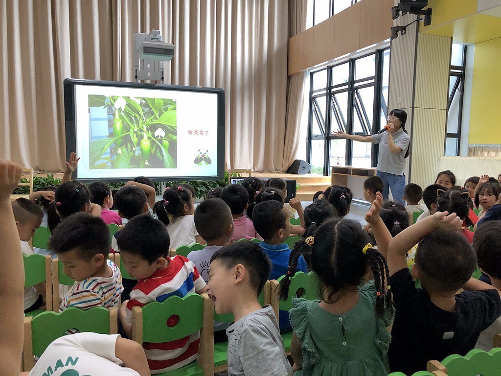 幼儿园自然课堂-植物的成长过程.jpg